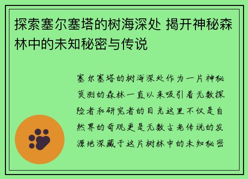 探索塞尔塞塔的树海深处 揭开神秘森林中的未知秘密与传说